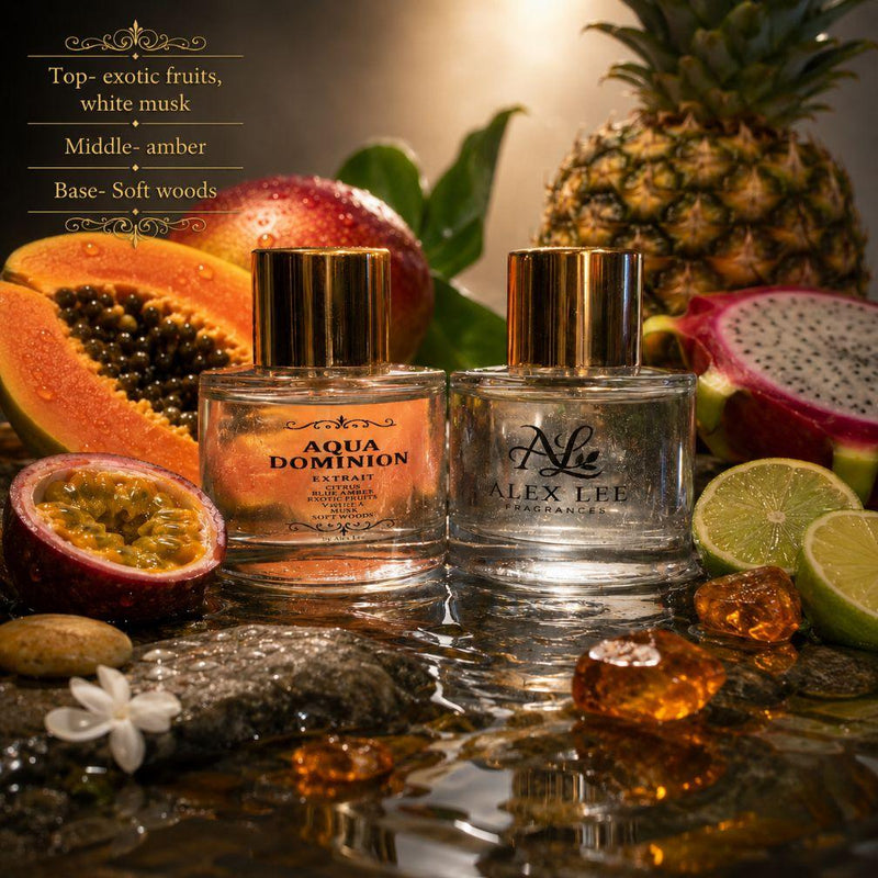Aqua Dominion by Alex Lee Fragrances 50 ml (Men)(Unisex)