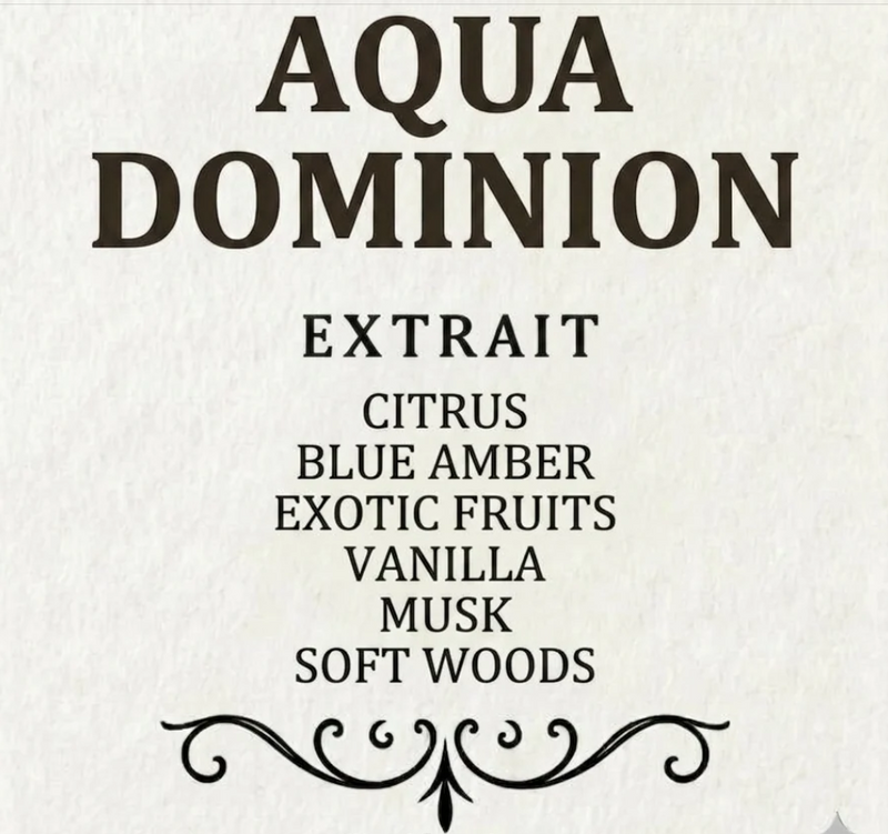 Aqua Dominion by Alex Lee Fragrances 50 ml (Men)(Unisex)